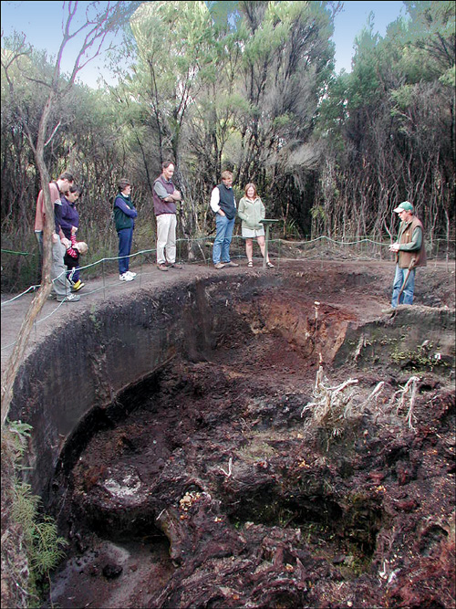 Capitalising on New Zealand's rich kauri milling and gum heritage &#8211; Gumdigger's Park tourist attraction in Northland. 